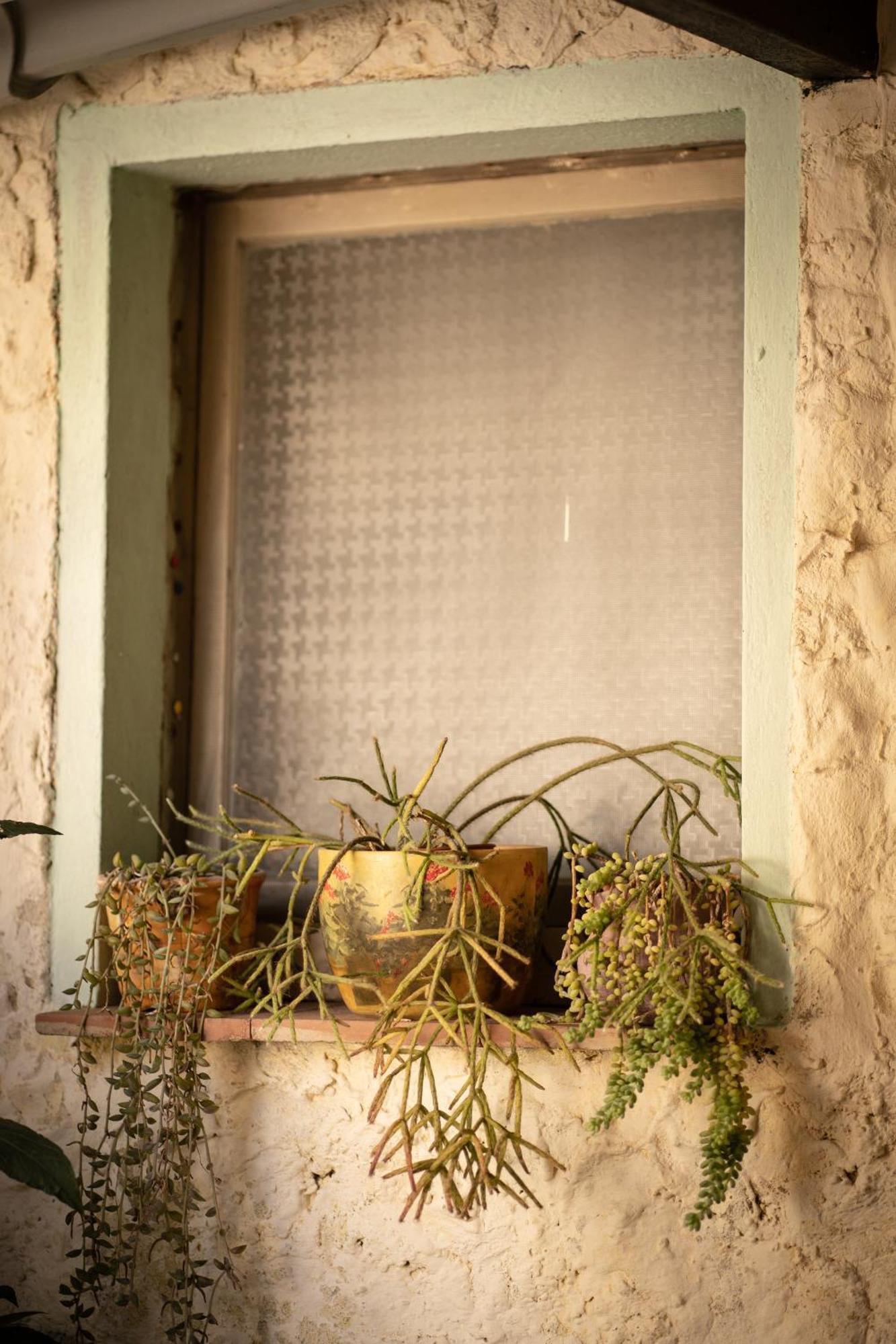 Sa Domu De Ladiri - Matrimoniale Con Giardino Acomodação com café da manhã Musei Exterior foto